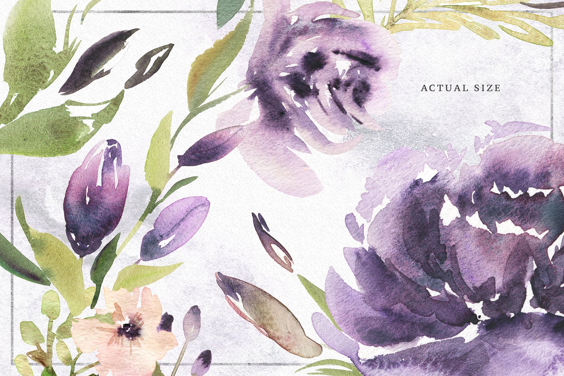 手绘水彩紫色花卉植物设计素材Violet Bouquets