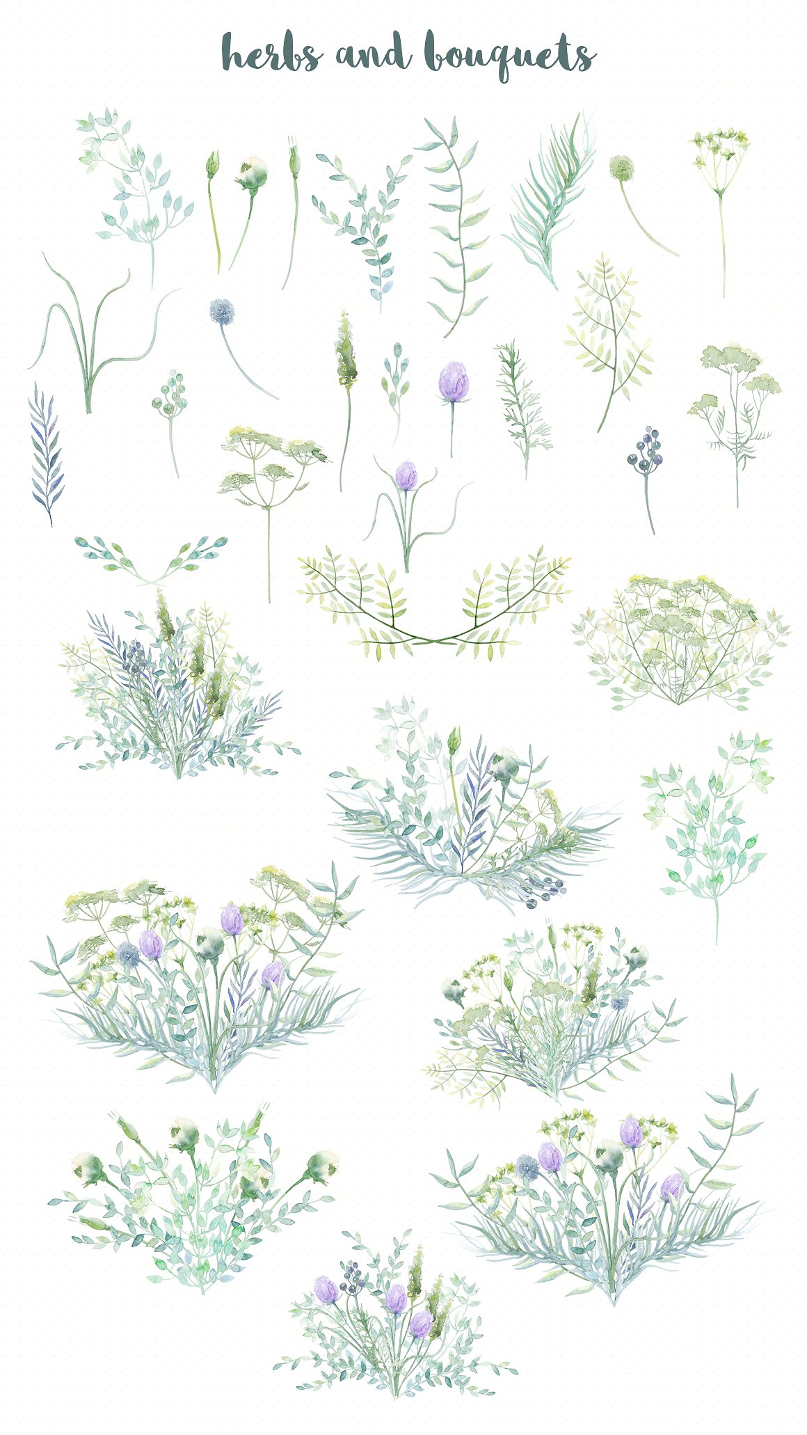 手绘水彩植物元素Watercolor Wild Herbs