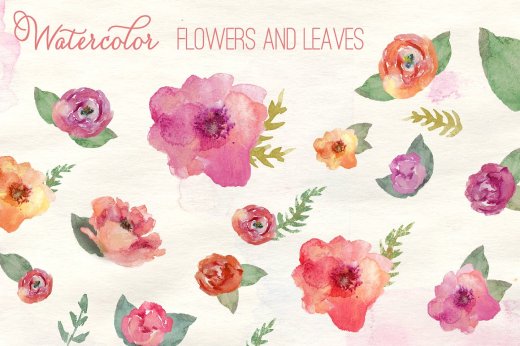 手绘水彩花花卉花朵元素设计素材 Watercolor-Flo