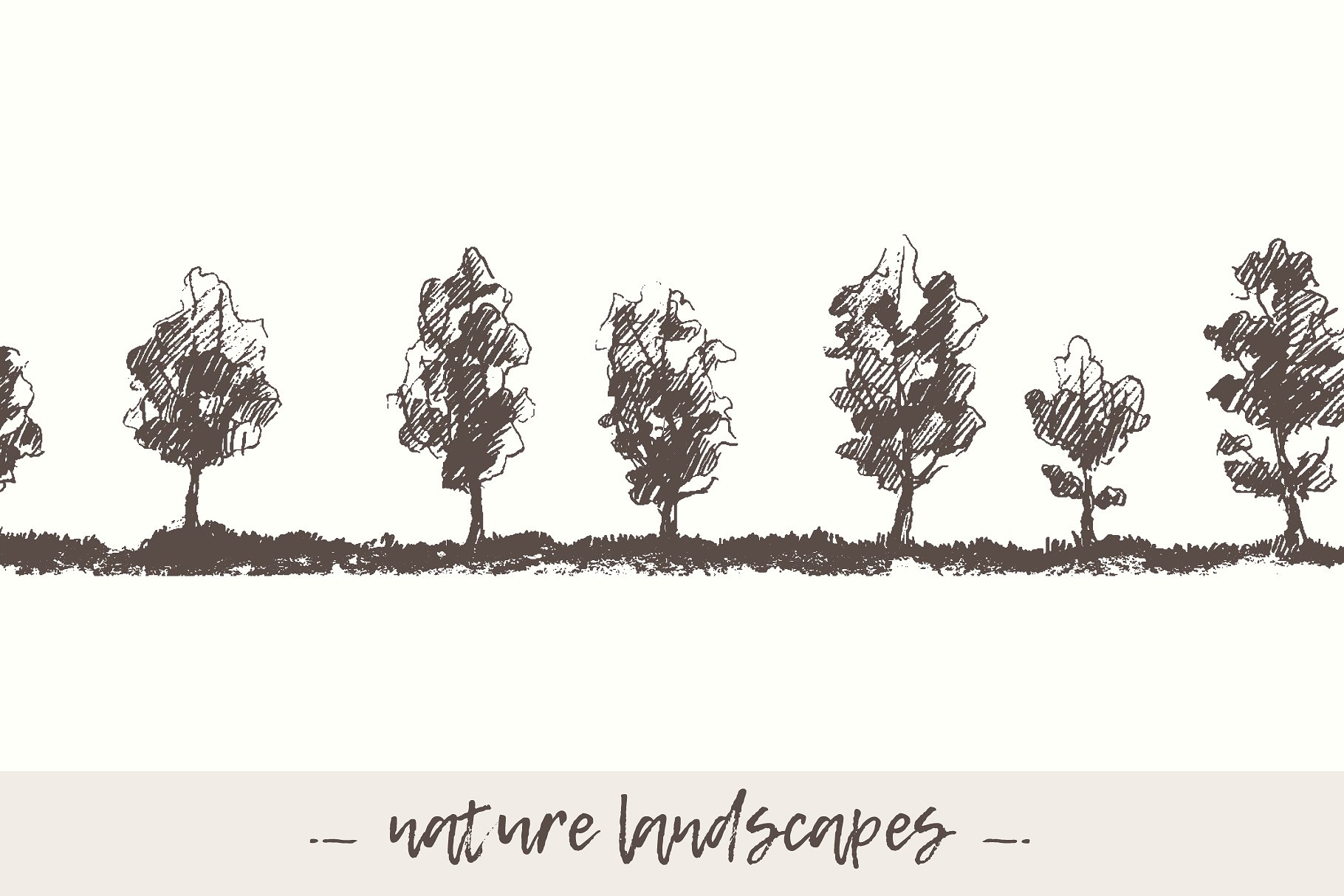 手绘素描自然景观树木插图素材 Hand-drawn-natu