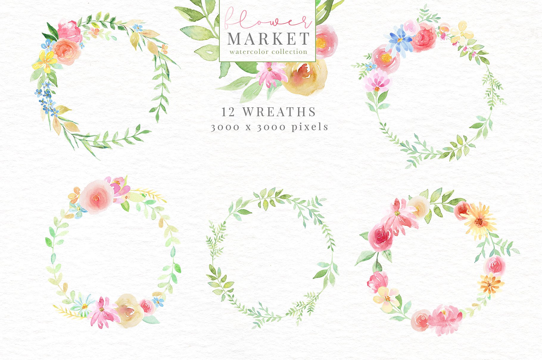 手绘水彩花卉植物设计素材Flower Market Wate