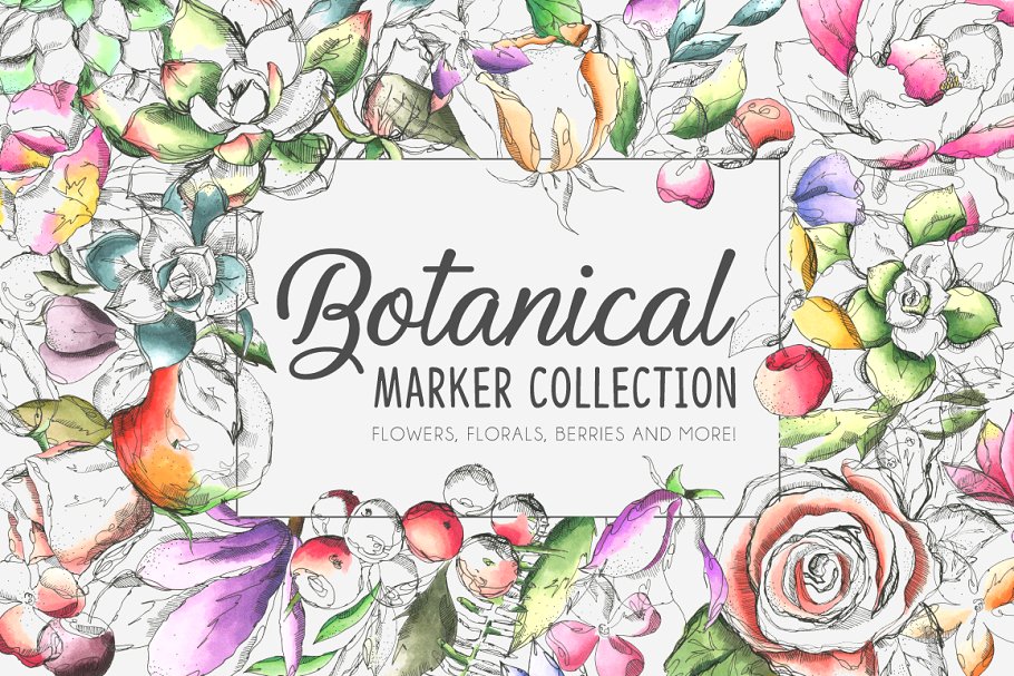 手绘水彩花卉植物设计素材 Botanic-Marker-Co
