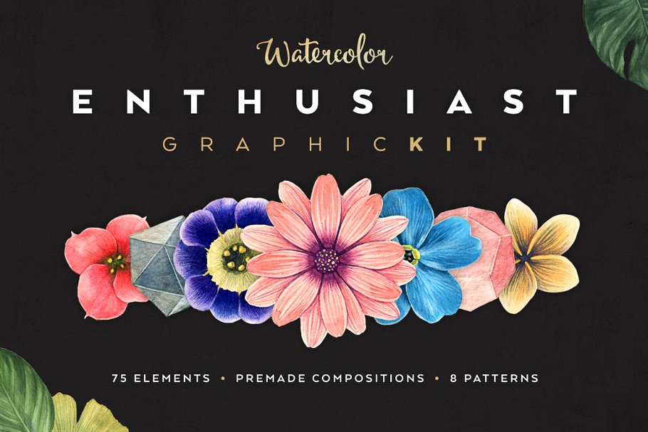 手绘水彩花卉花朵设计素材 Watercolor-Enthus