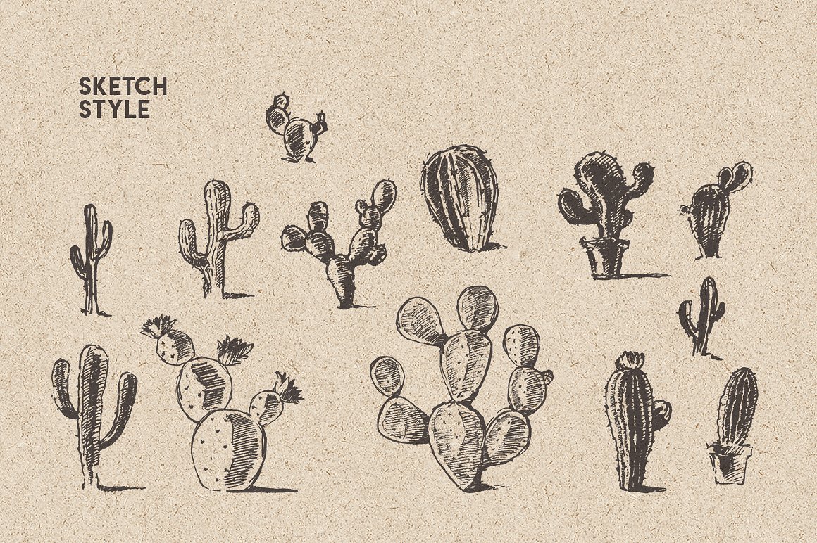 草图风格手绘仙人掌设计素材Big cacti bundle,