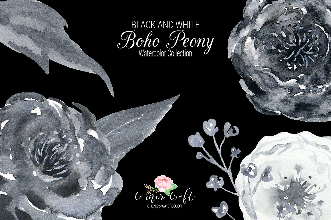 Boho Peonies Black and White