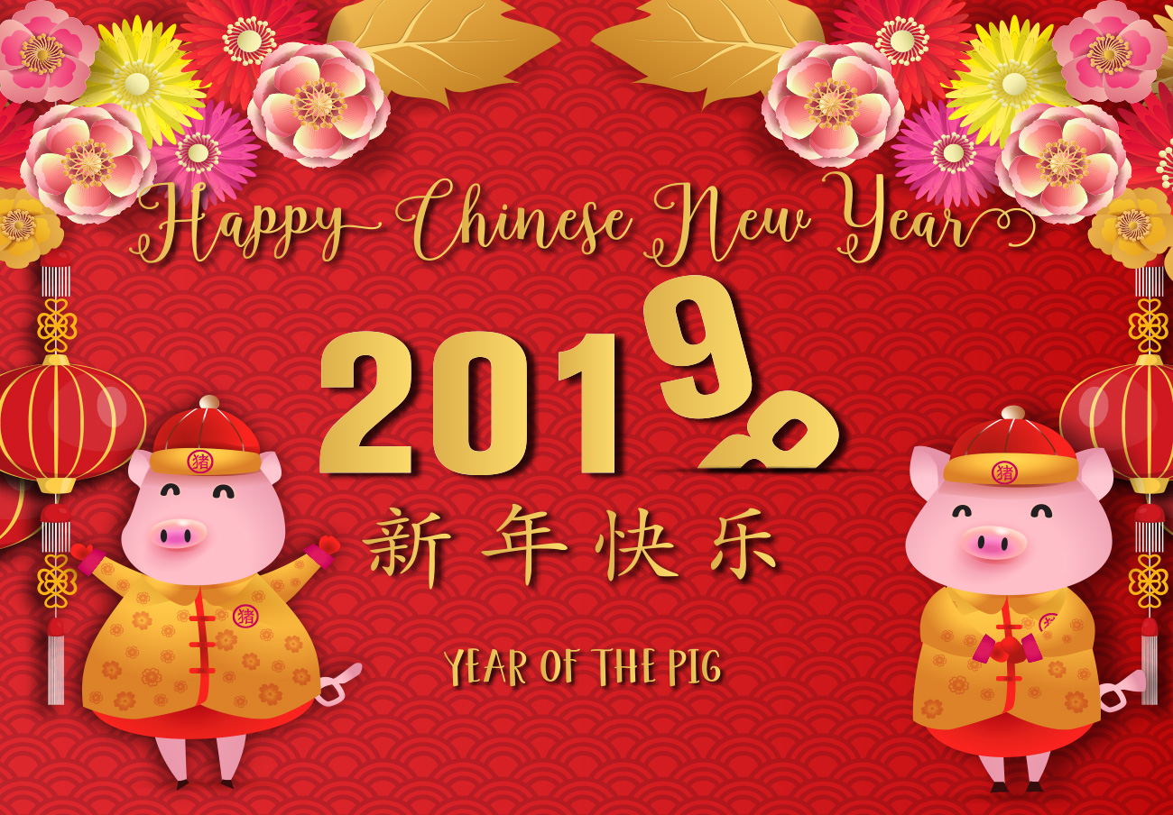 2019年中国猪年可爱卡通贺卡新年快乐年画海报素材