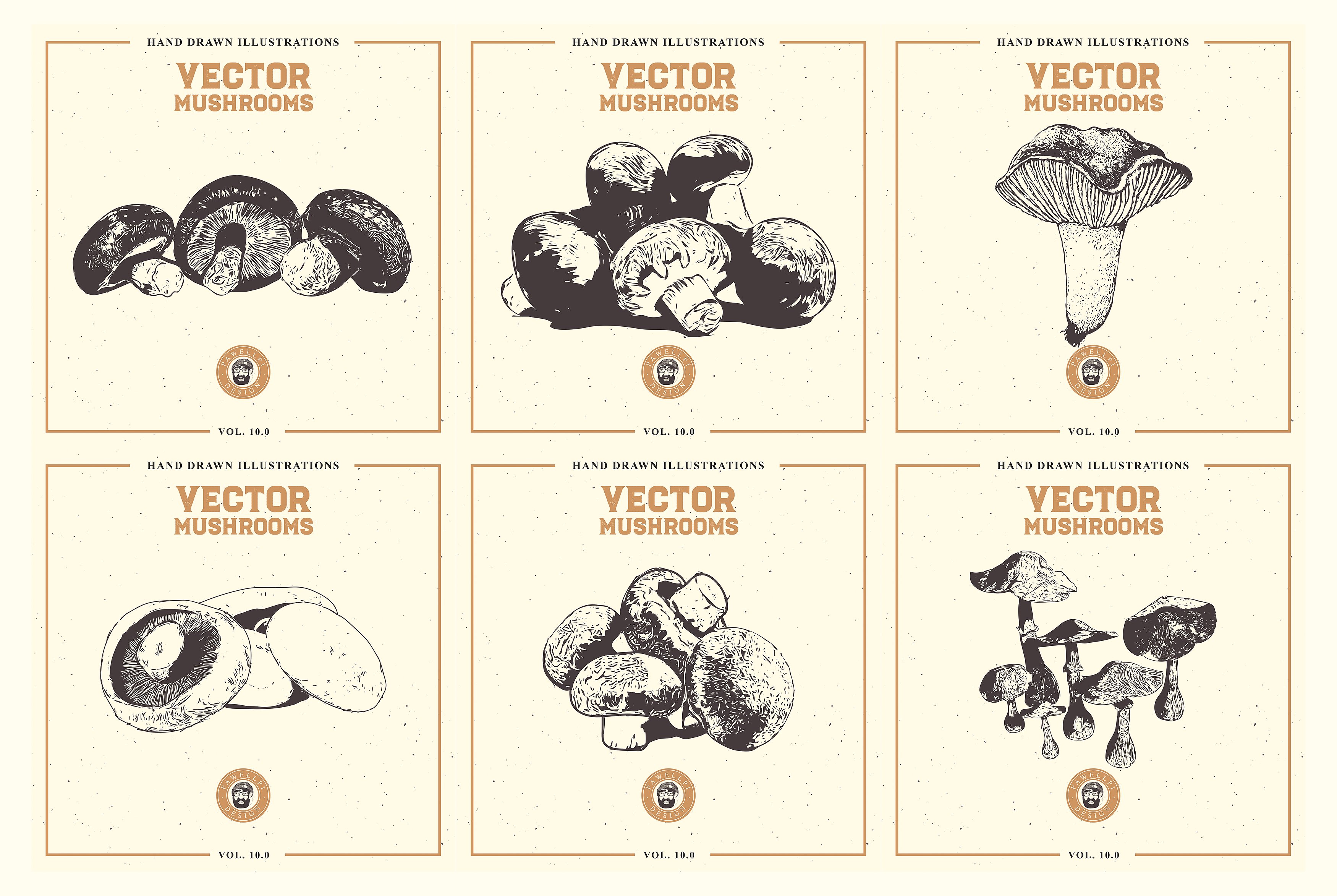 手绘农场有机蘑菇矢量插图合集包 VECTOR MUSHROO