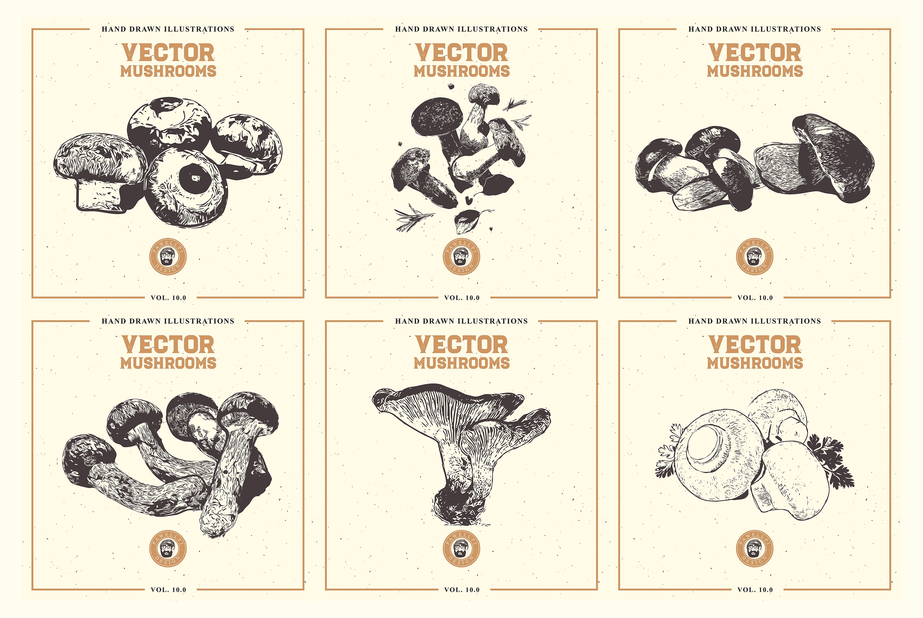 手绘农场有机蘑菇矢量插图合集包 VECTOR MUSHROO