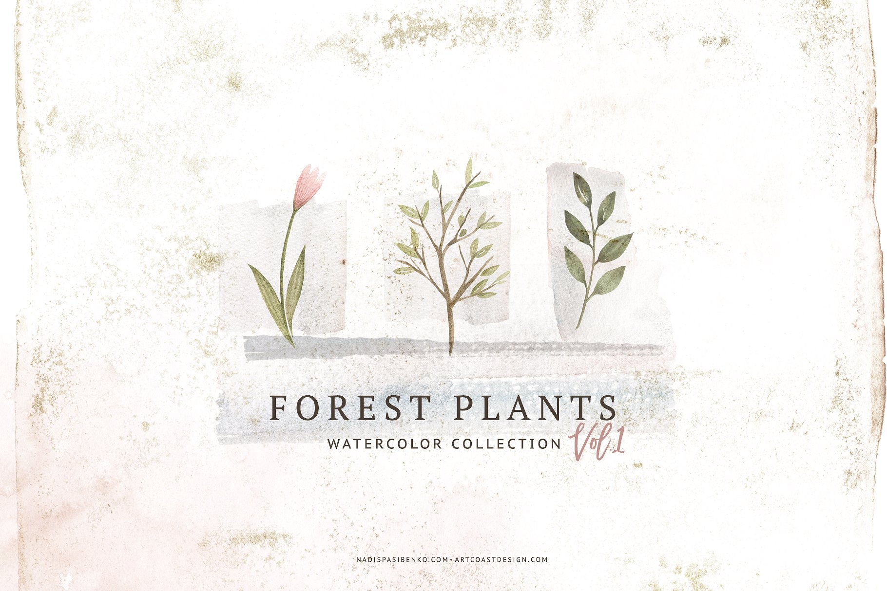 森林树枝花朵浆果野生植物插图素材合辑 Watercolor