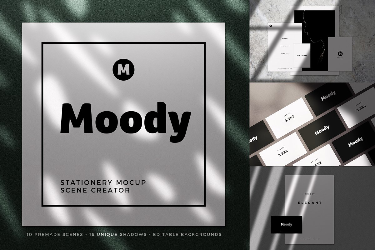 真实拍摄的阴影名片品牌样机贴图展示模版 Moody Stat
