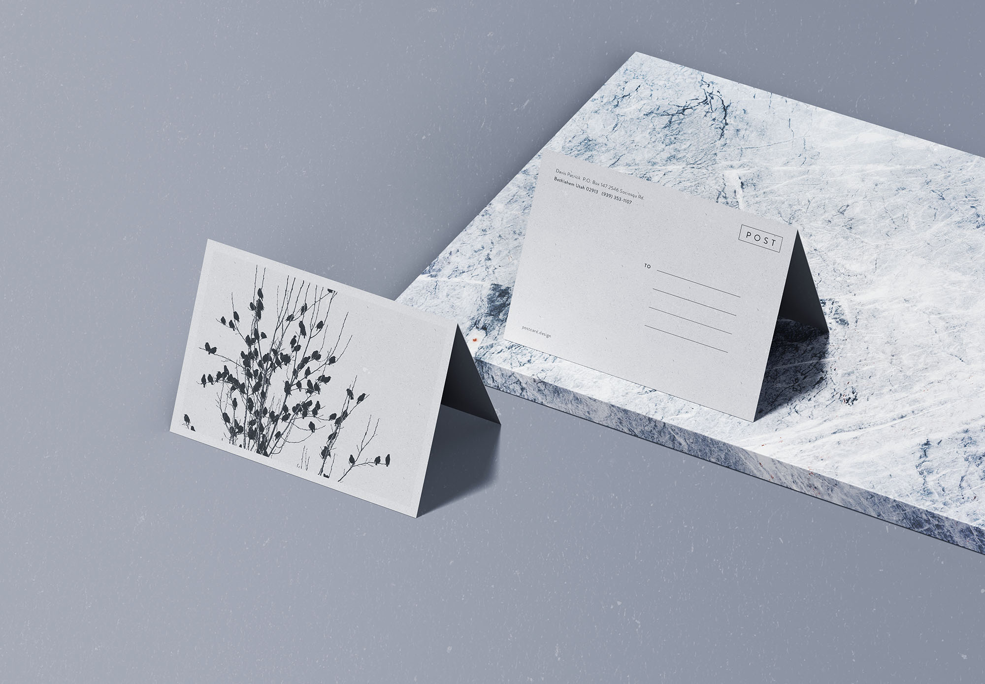 折叠的明信片信封样机贴图展示模版 Folded Postca