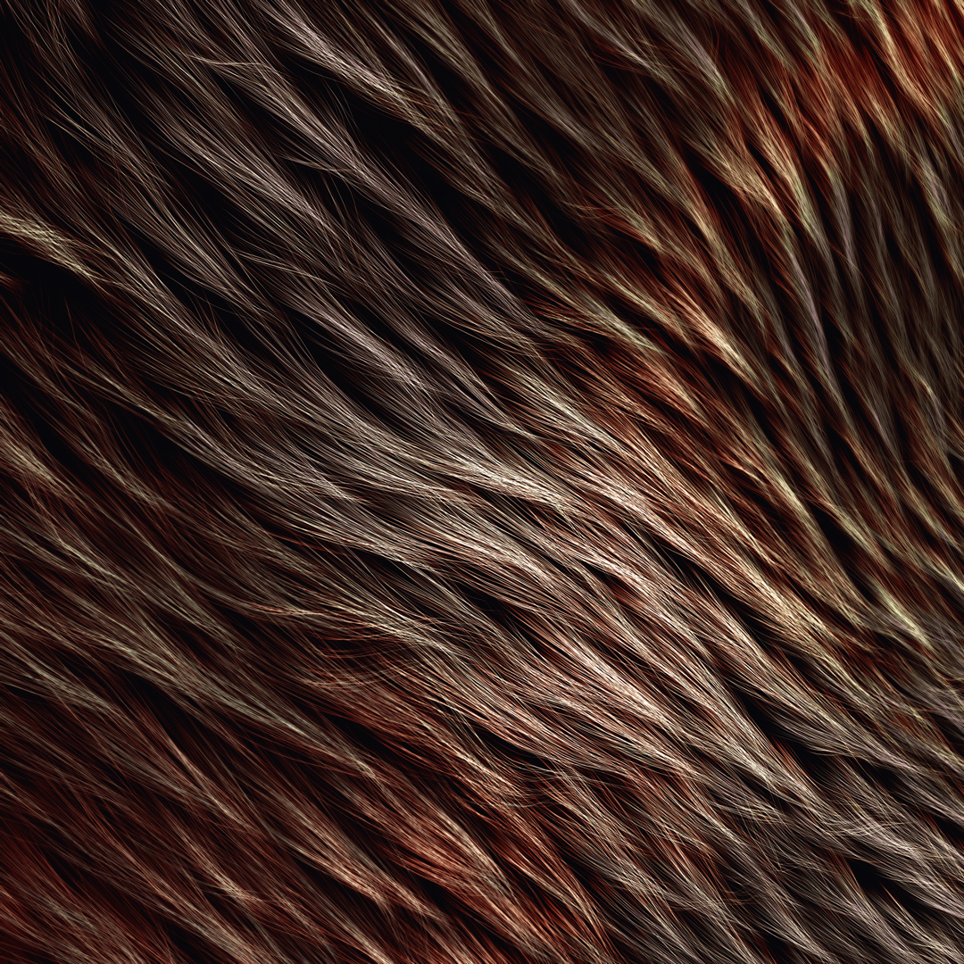 [24-07-16] - Fur.C4D动物的皮毛动画工程文