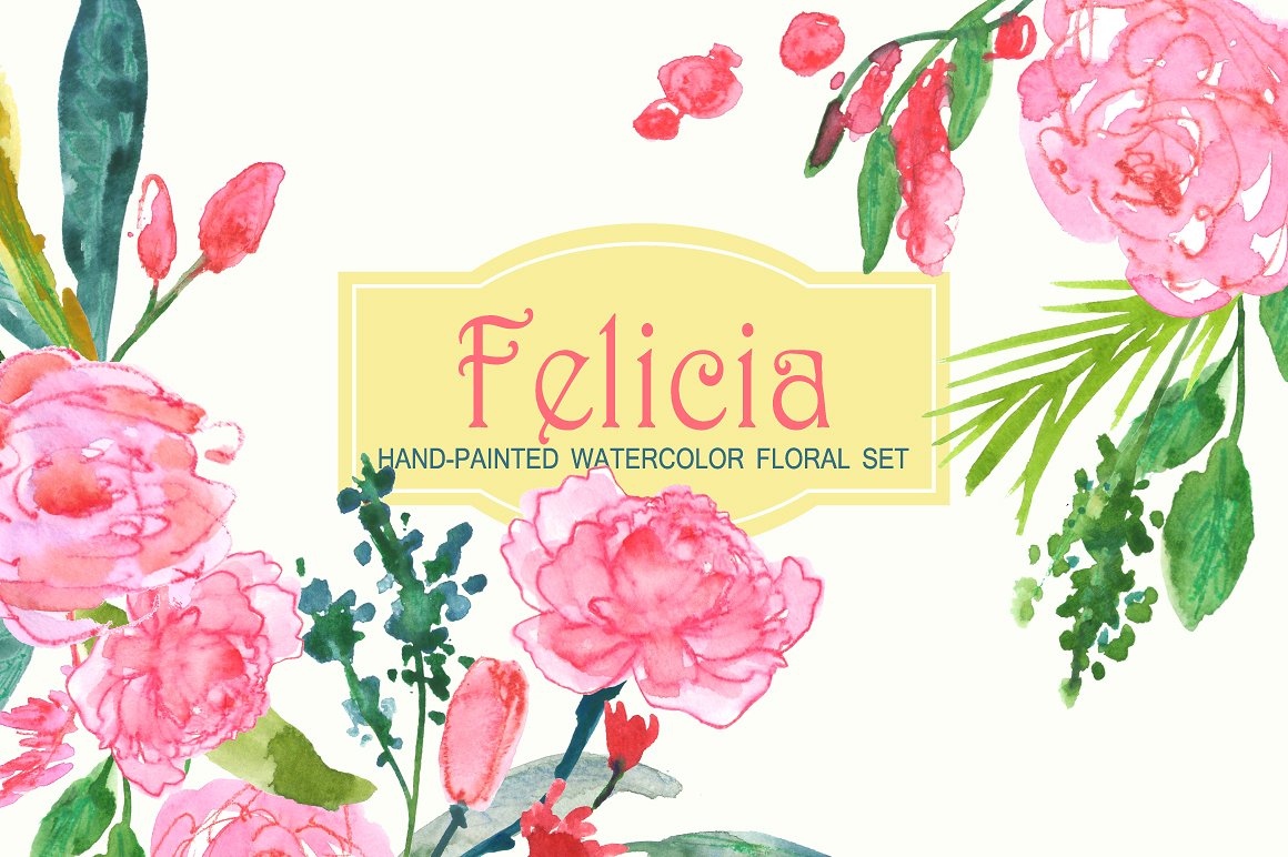 费利西亚艺术水彩花卉剪贴画 Felicia Waterco