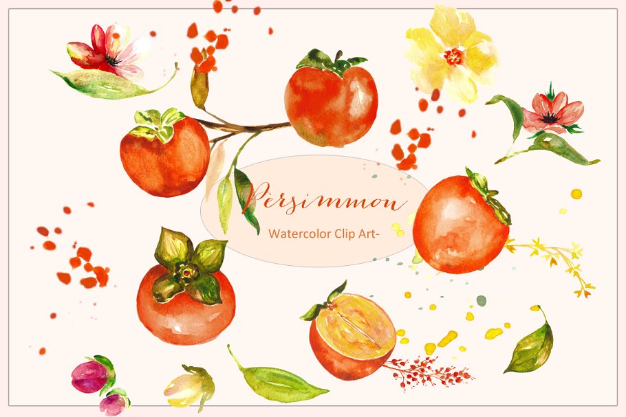 49水彩柿子水果花卉橘色艺术剪贴画 Persimmon Or