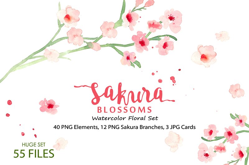 水彩樱花花卉插画素材合集 Sakura Blossoms