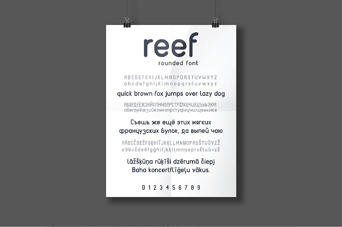 圆润的无衬线英文字体 REEF #780292