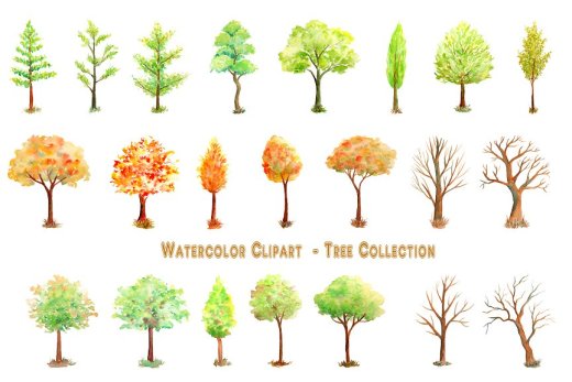 手绘水彩冬季秋季树木剪贴画插画素材 Watercolor T