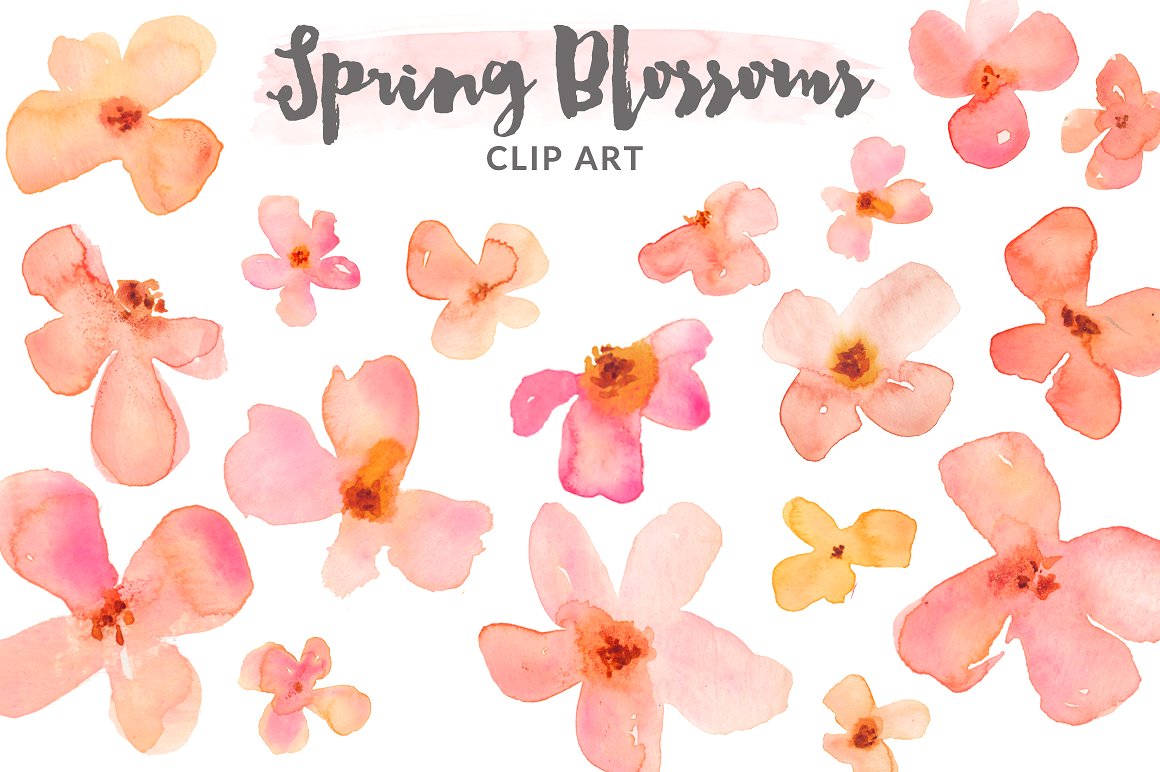 春季美丽彩绘花卉剪贴画 Watercolor Clipart