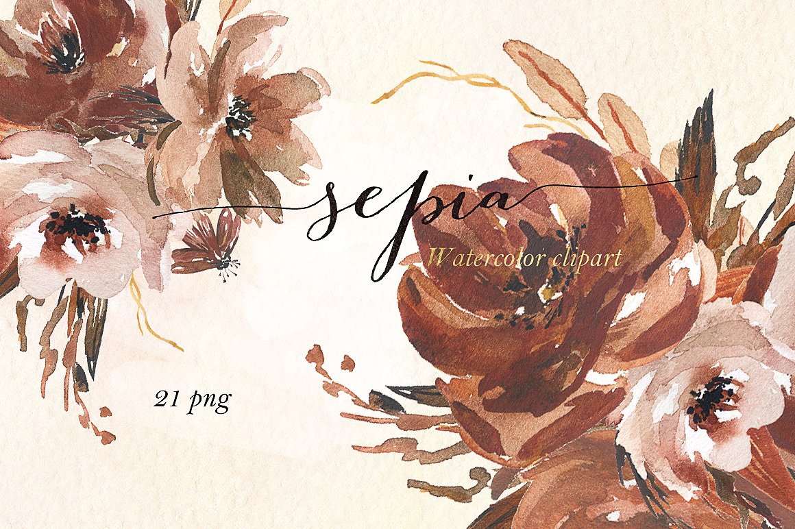 深暖色调棕色奶油粉艺术花卉插图 Sepia flowers.