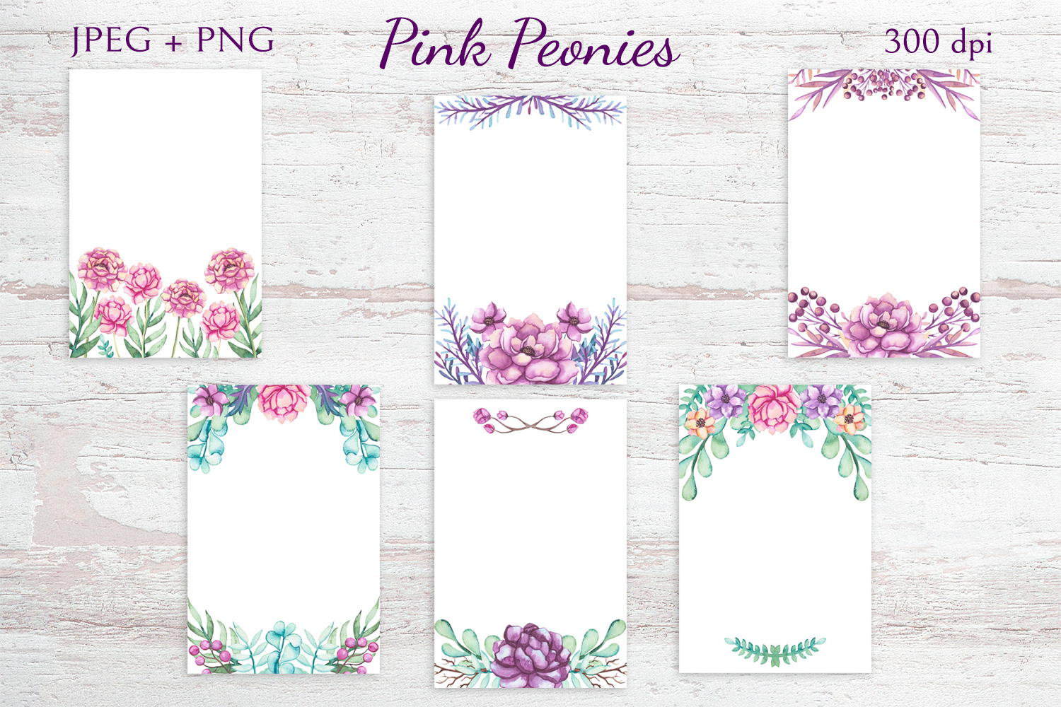 高分辨率粉色牡丹花卉剪贴画系列合集 Pink Peonies