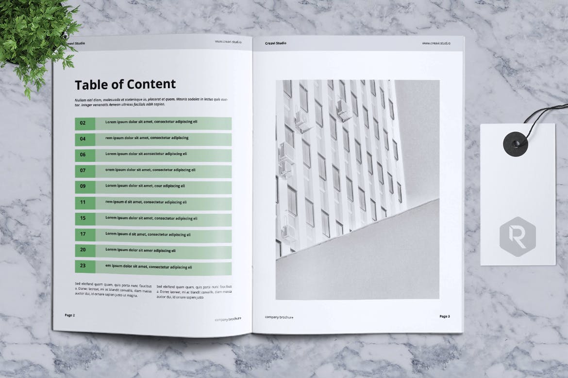 时尚简约多用途的绿色杂志画册商务商业设计模板 creavi-