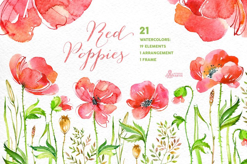 红色手绘水彩罂粟花卉元素 Red Poppies Flora