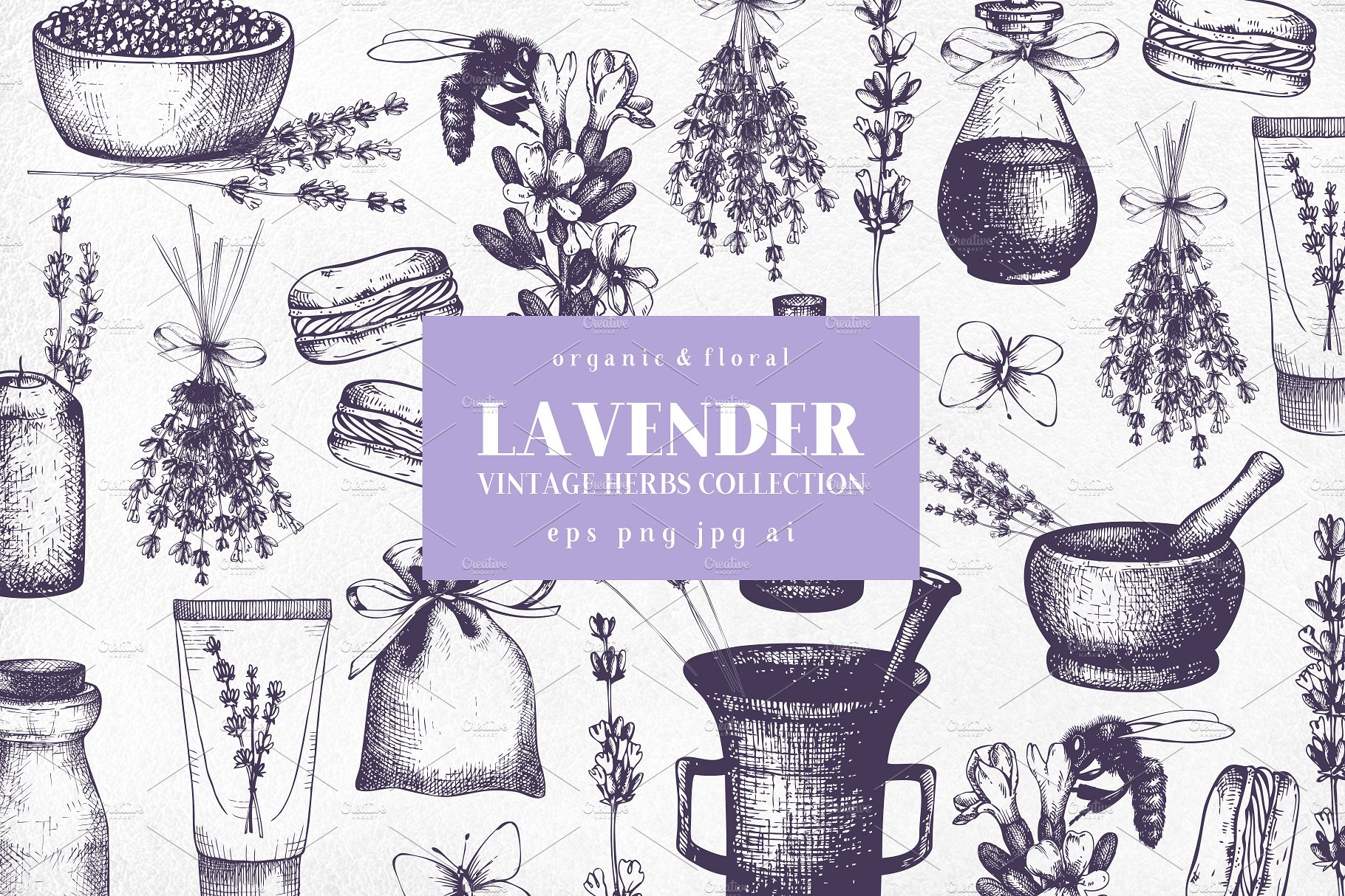 复古墨水手绘薰衣草矢量插图 Vector Lavender