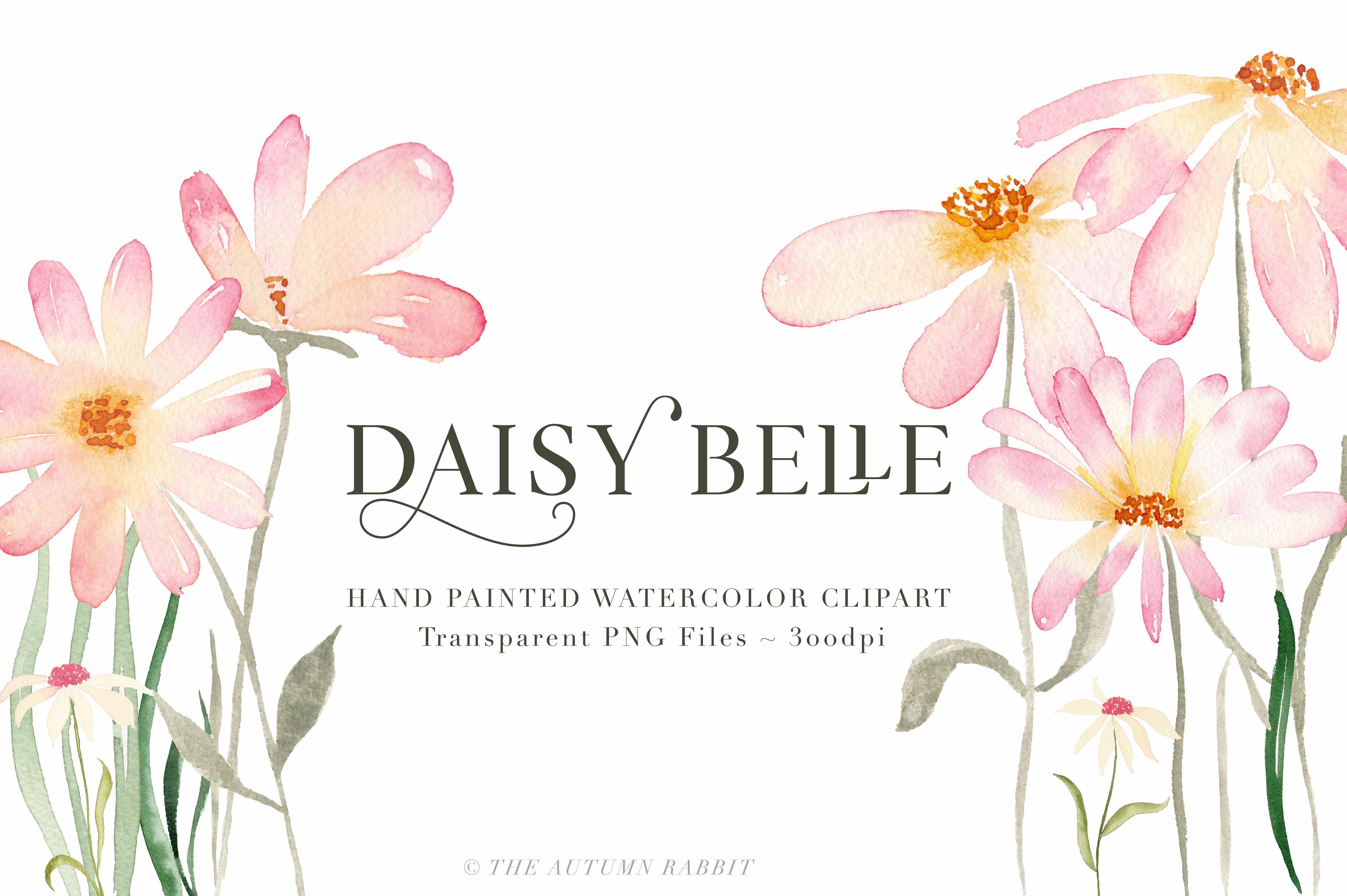 独立手绘花卉树叶图像 Daisy Belle Waterc