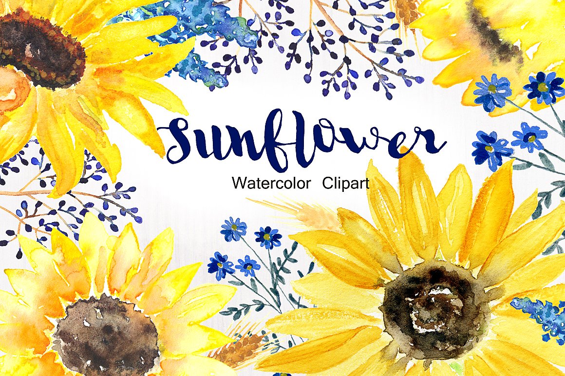 手绘水彩向日癸设计素材Sunflower Watercolo