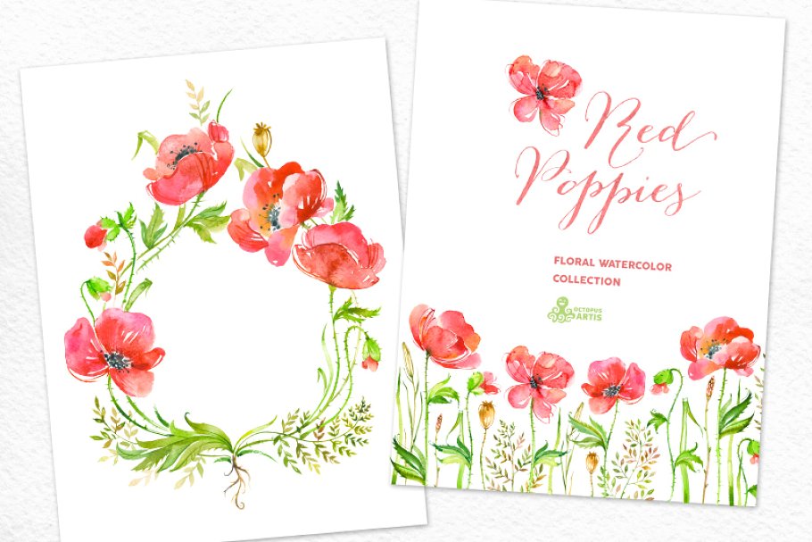 红色手绘水彩罂粟花卉元素 Red Poppies Flora