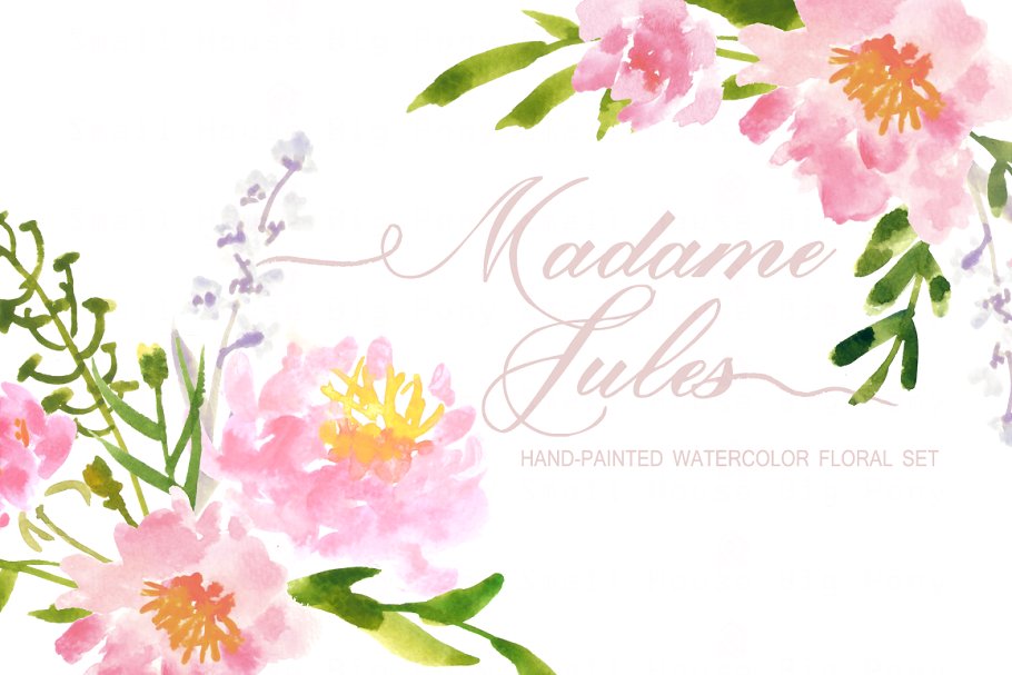 水彩艺术花卉元素插画 Madame Jules Waterc