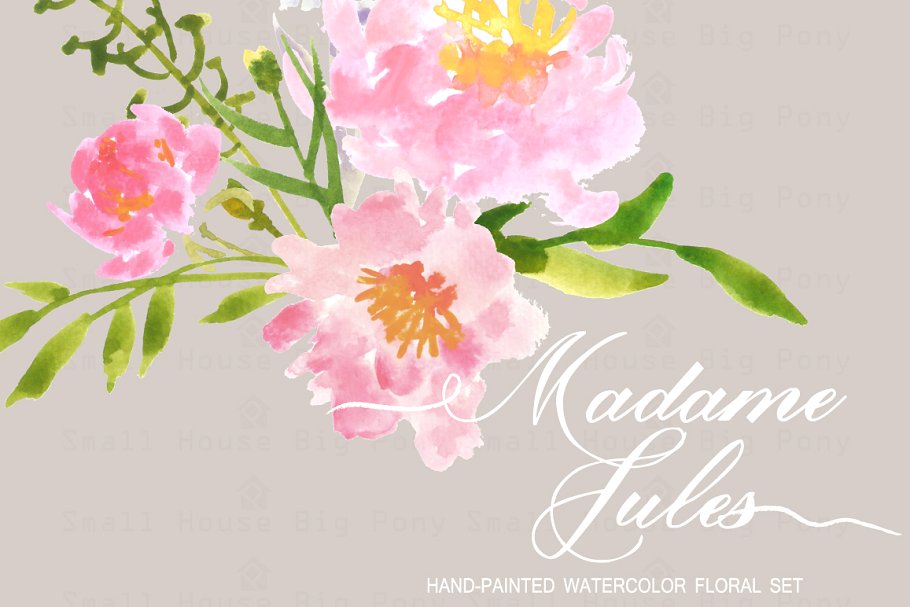 水彩艺术花卉元素插画 Madame Jules Waterc