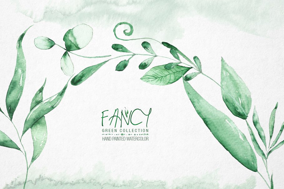 珍藏版春季手绘绿色植物素材包FANCY Green Coll