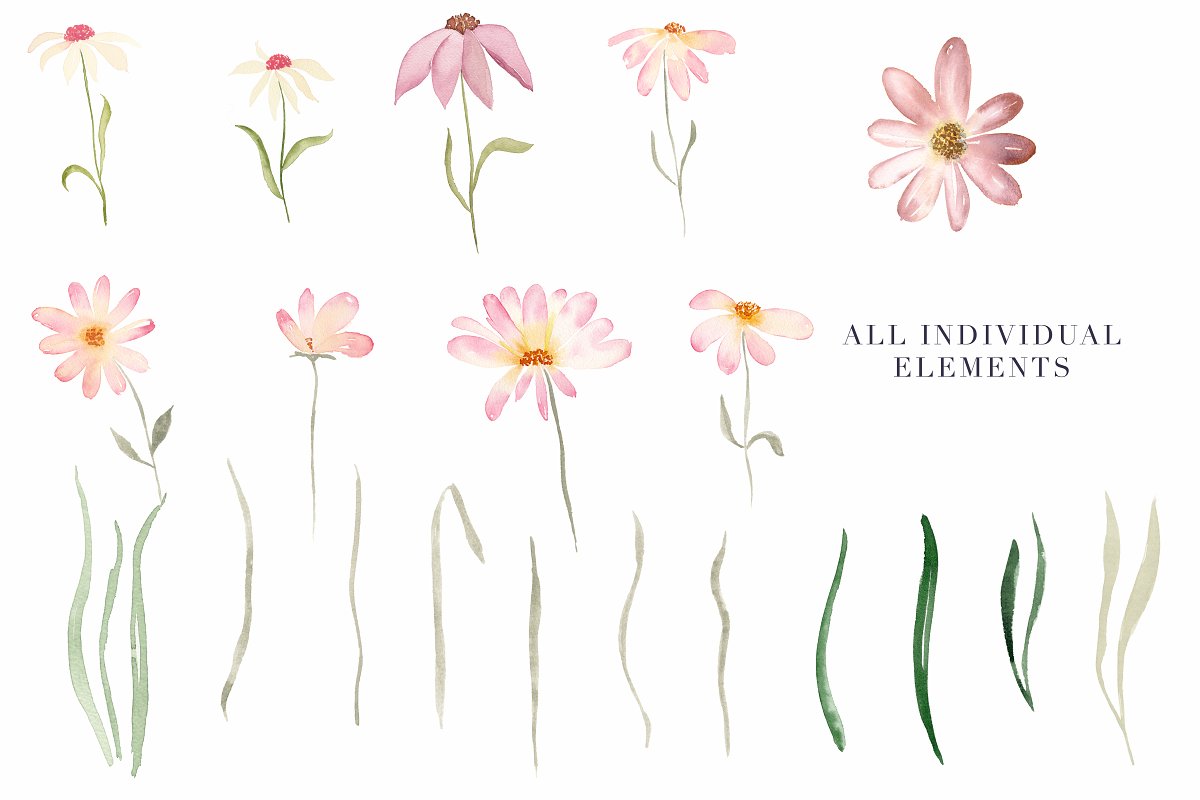 独立手绘花卉树叶图像 Daisy Belle Waterc