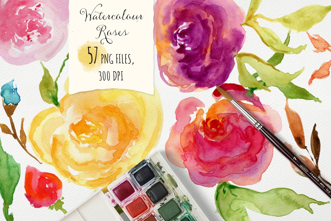 手绘水彩玫瑰图形元素 Watercolor Roses DI