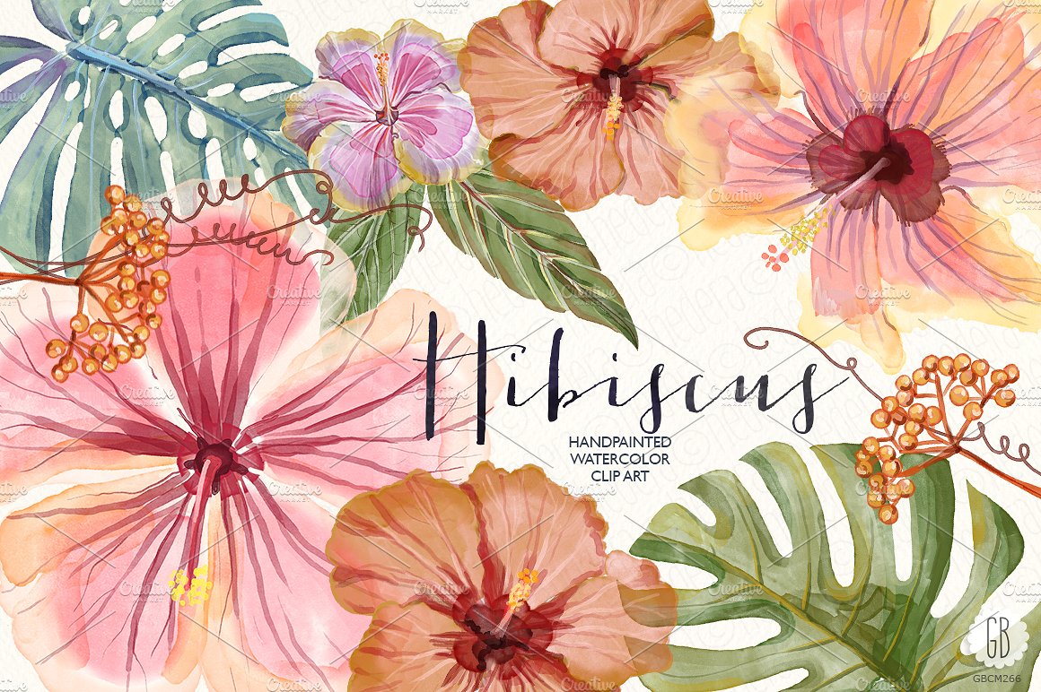 手绘水彩热带植物设计素材Watercolor hibiscu