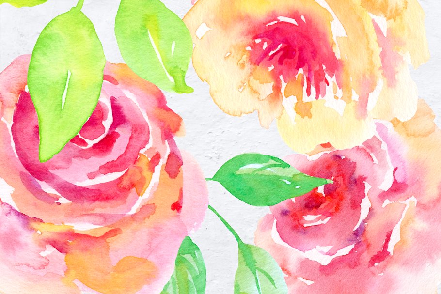 水彩手绘腮红粉装饰花卉元素 Watercolor Desig