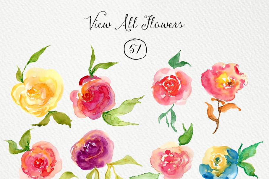 手绘水彩玫瑰图形元素 Watercolor Roses DI