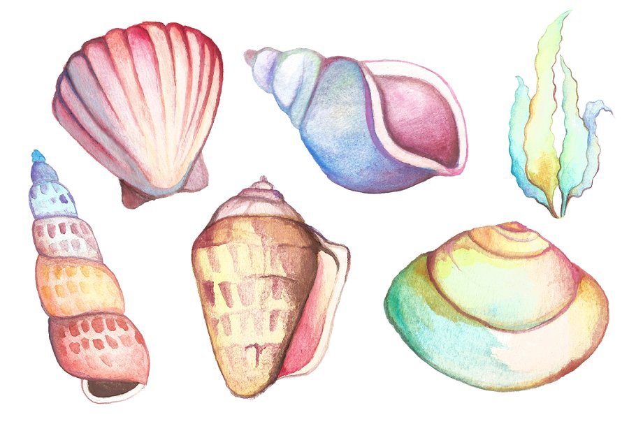 手绘水彩海洋生物设计元素 Watercolor Sea Li