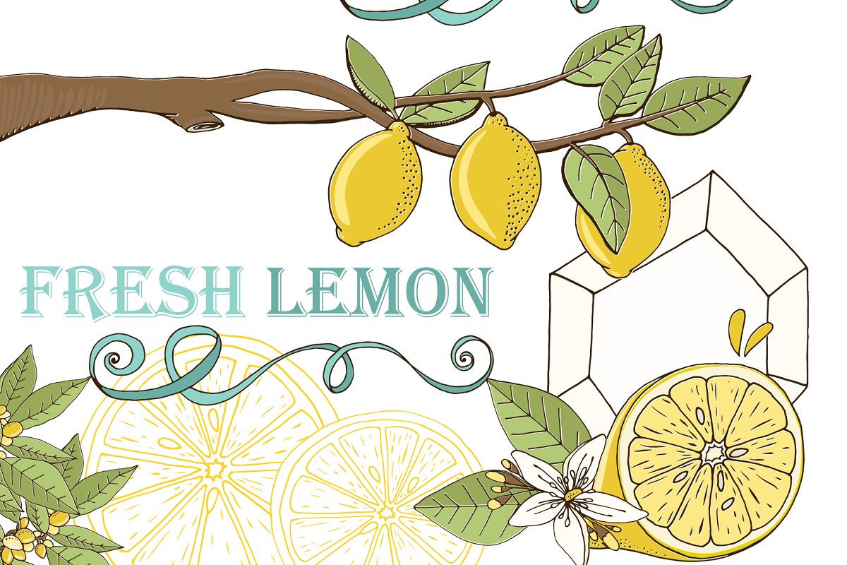 新鲜夏天柠檬插图合集 Lemons, Summer Frui