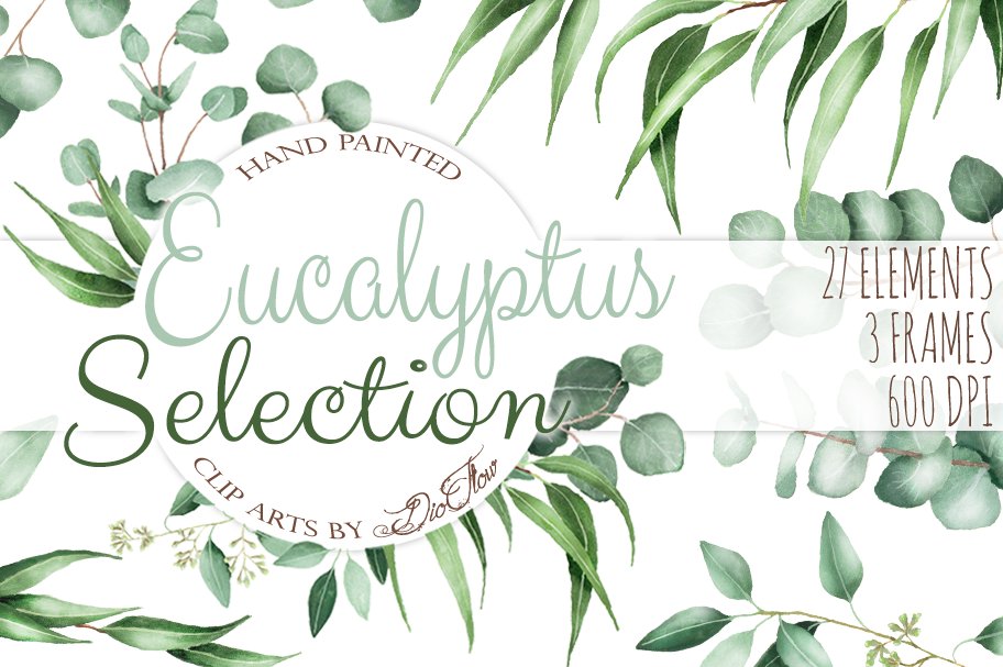 桉树叶水彩剪贴画水彩装饰字体 Eucalyptus Wate
