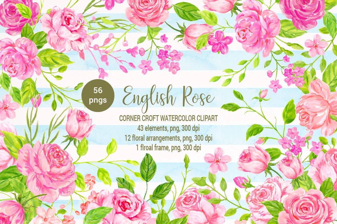 美丽浪漫的英国传统玫瑰剪贴画合集 Watercolor En