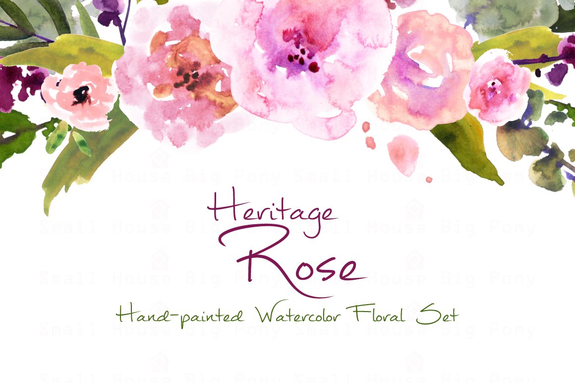 传统复古水彩玫瑰剪贴画合集 Heritage Rose Wa