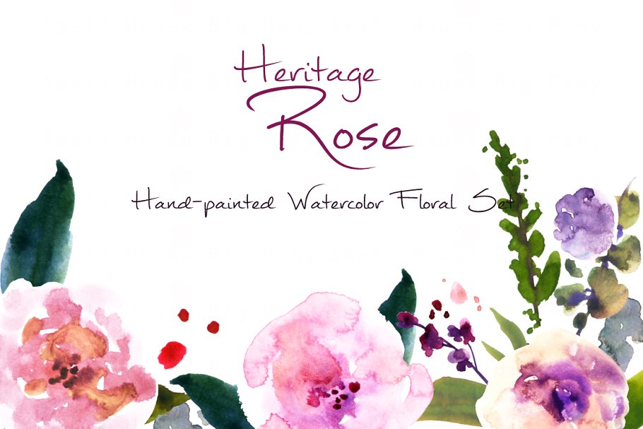 传统复古水彩玫瑰剪贴画合集 Heritage Rose Wa