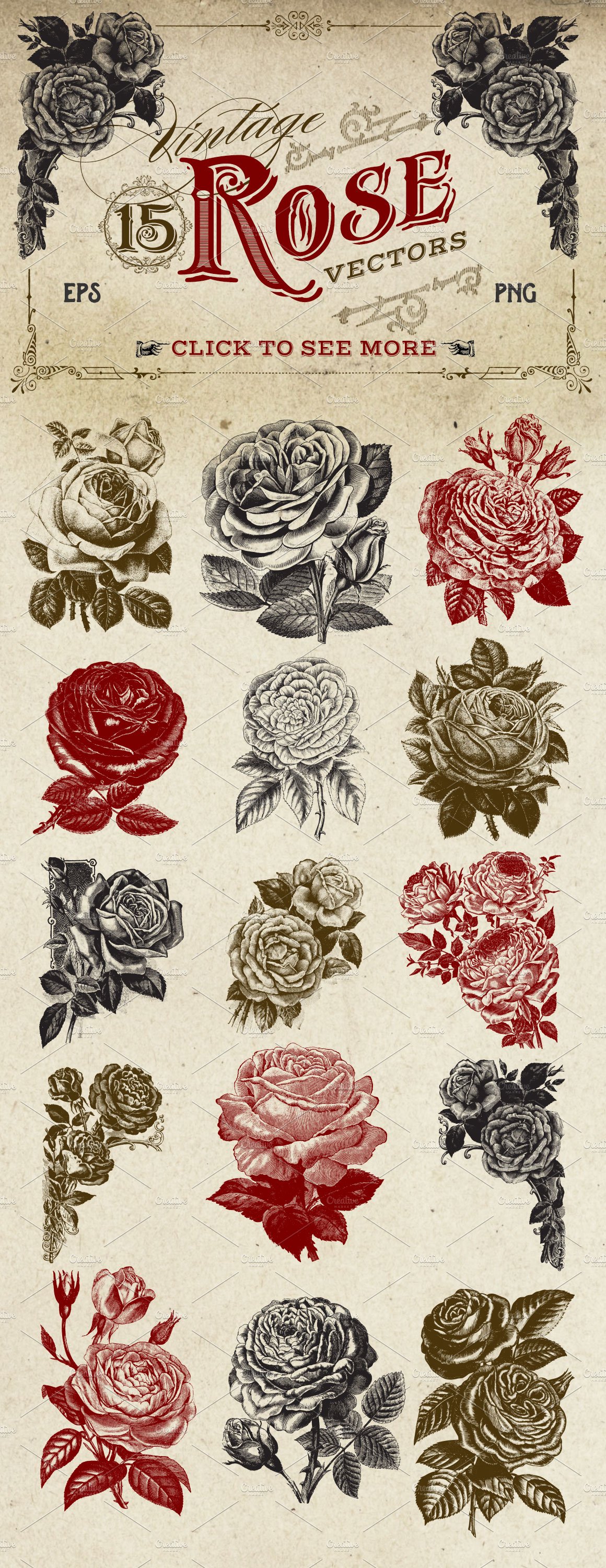 复古冷艳手绘玫瑰矢量插画 Vintage Rose Vect