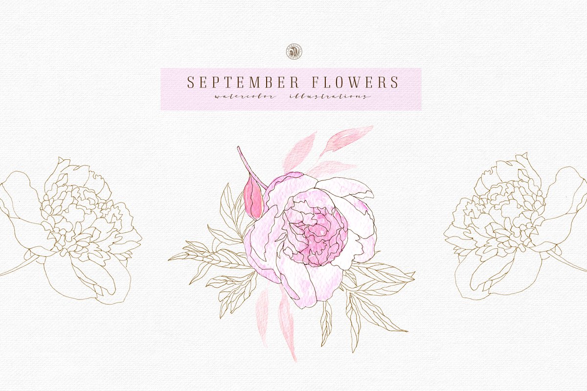 九月淡雅风水彩手绘花卉插画素材 September Flow
