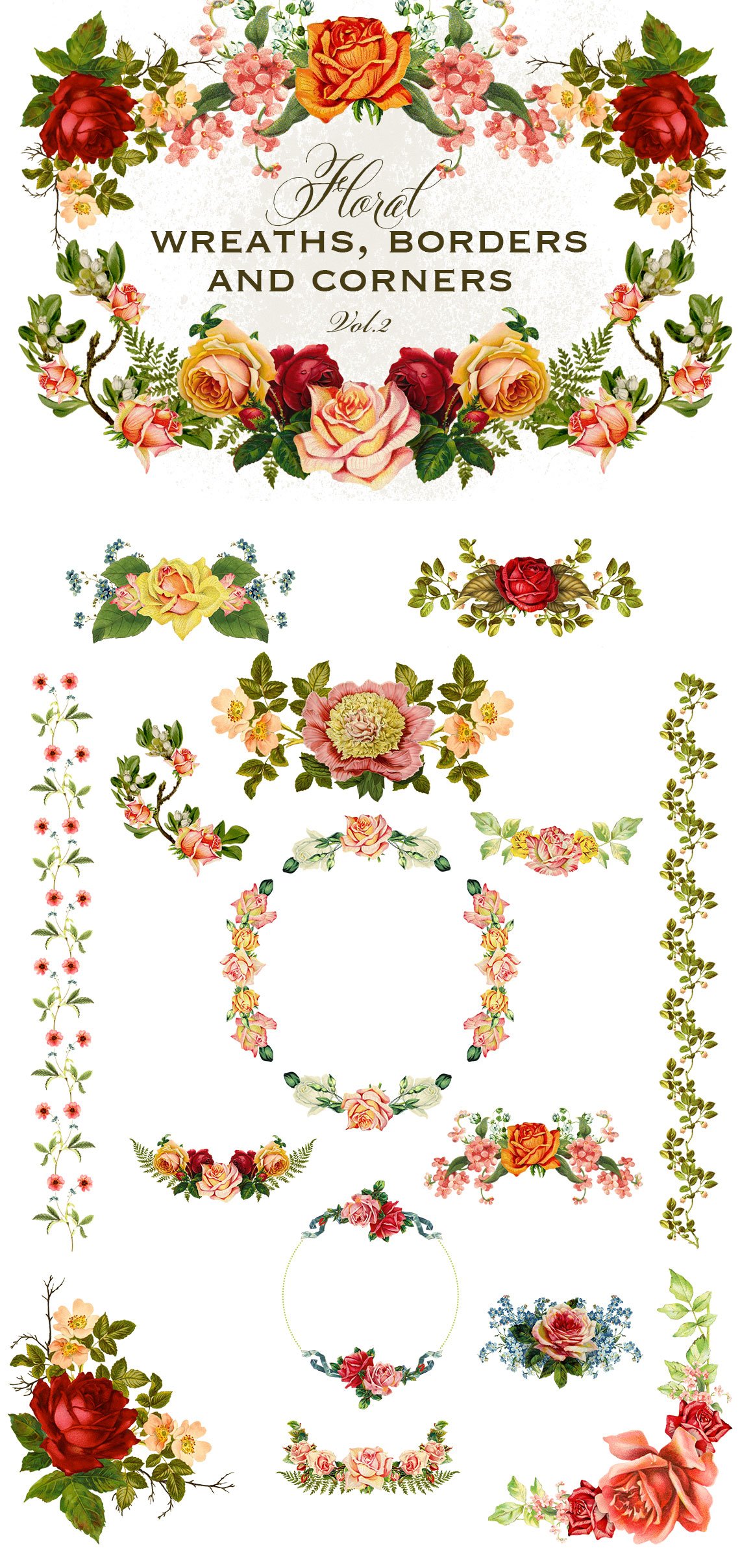 水彩花卉素材插画 Floral Wreaths Border