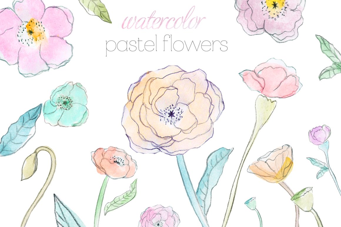 水彩花卉素材 Pastel Watercolor Flowe