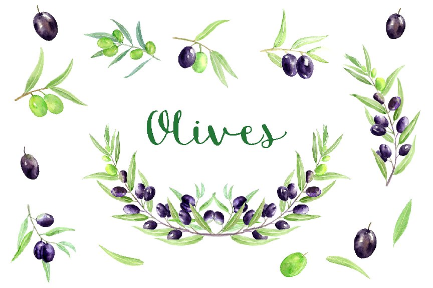 水彩橄榄剪贴画 Watercolor Olive Clipa