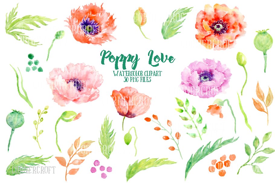 创意水彩花卉爱心 Watercolor Poppy Love